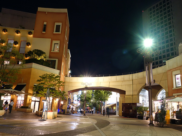 川崎(市中心部)エリア